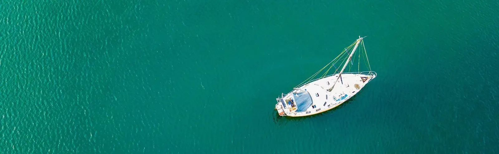 palladium travel club contacto