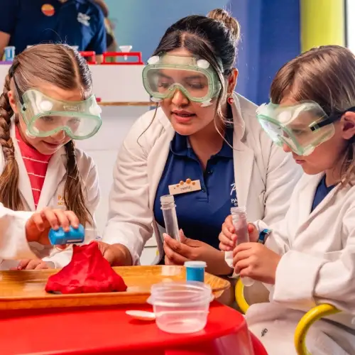 Clubs Infantiles Palladium Travel Club