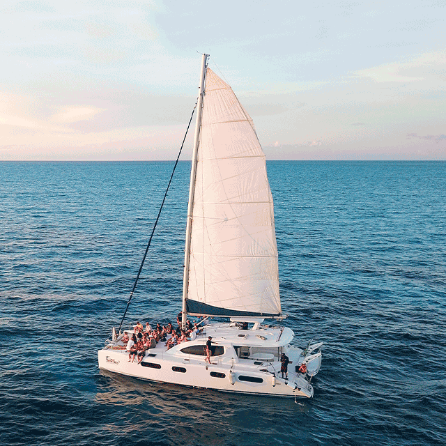 Sunset Catamaran
