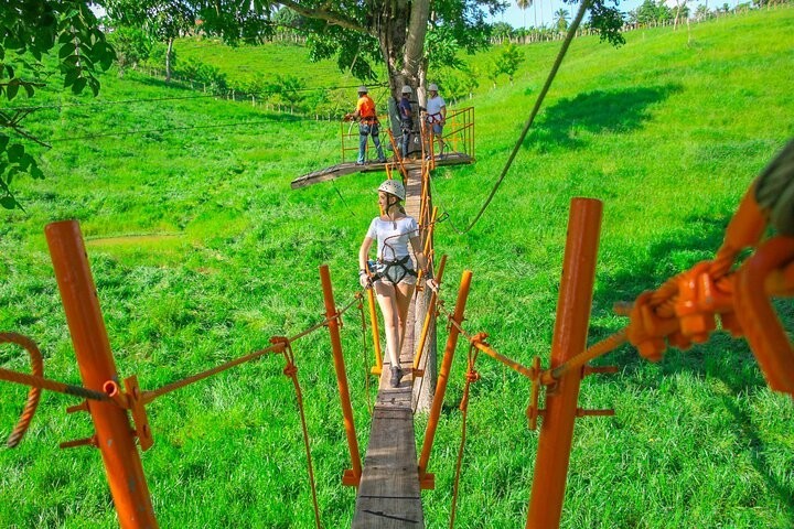 Zip Line