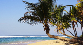 Punta Cana